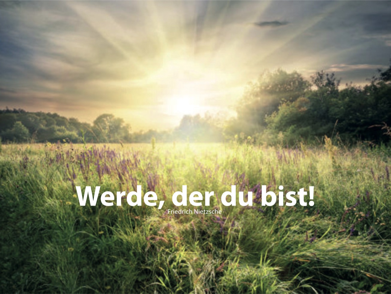 Patricia Pflug